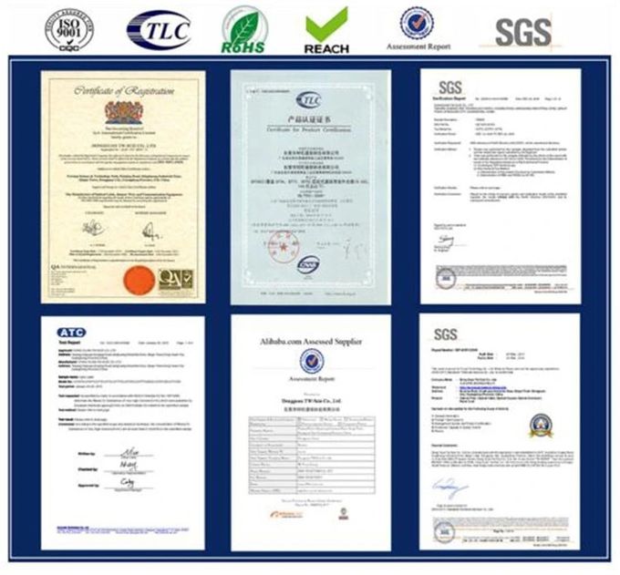 DONGGUAN TW-SCIE CO., LTD. Bedrijfsprofiel